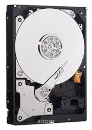 Фото Western Digital WD10EZRZ Фото Western Digital WD10EZRZ